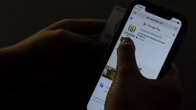 Por medio de una app se busca prevenir el Fusarium Raza 4 Por medio de una app se busca prevenir el Fusarium Raza 4