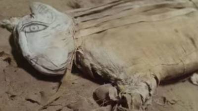 Un impresionante animal momificado en Egipto desconcierta a los arque&oacute;logos
