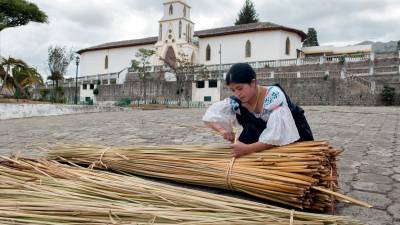 Transformando la totora Transformando la totora