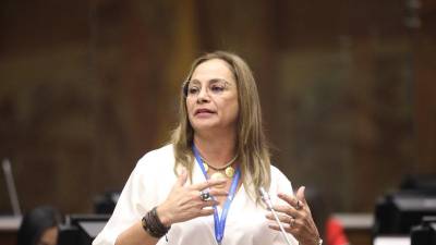 Pierina Correa se despide de la política tras el rechazo a su proyecto COPINNA: culpa a 'cálculos políticos' Pierina Correa se despide de la política tras el rechazo a su proyecto COPINNA: culpa a 'cálculos políticos'