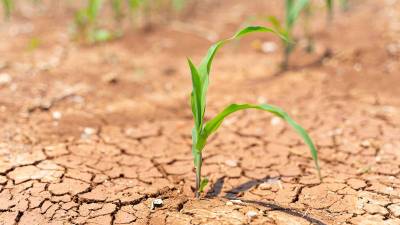 Tecnologías permiten reducir el estrés hídrico y mejorar la calidad del agua Tecnologías permiten reducir el estrés hídrico y mejorar la calidad del agua