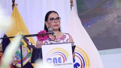 Presidenta del CNE reconoció problemas en la votación electrónica desde el extranjero Presidenta del CNE reconoció problemas en la votación electrónica desde el extranjero
