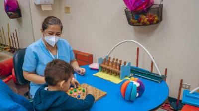 Desaf&iacute;os y oportunidades para afrontar el autismo en el Ecuador