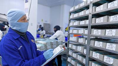 En la mira de nuevos mercados para el camarón En la mira de nuevos mercados para el camarón