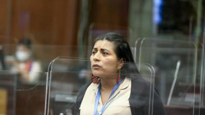 CAL califica queja en contra de asambleísta Rosa Cerda por su declaración: "si roben, roben bien" CAL califica queja en contra de asambleísta Rosa Cerda por su declaración: "si roben, roben bien"