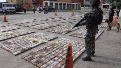 246 toneladas de droga han sido incautadas en Ecuador en lo que va del 2024, seg&uacute;n Gobierno