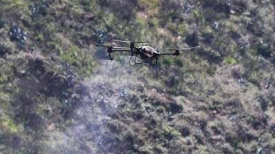 La siembra de semillas desde un dron apunta a revolucionar la reforestación en Ecuador La siembra de semillas desde un dron apunta a revolucionar la reforestación en Ecuador