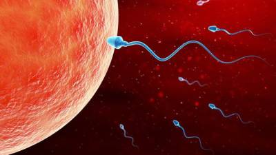 &iquest;Nos dirigimos hacia un mundo est&eacute;ril? La humanidad podr&iacute;a ser inf&eacute;rtil para 2045, seg&uacute;n un estudio