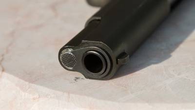 Venta de armas en EE.UU. alcanzó nuevo récord en un "viernes negro" Venta de armas en EE.UU. alcanzó nuevo récord en un "viernes negro"