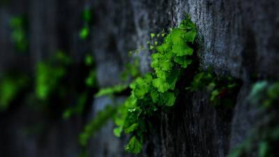 Origins 2023: Más de un centenar de investigadores de varios países discutirán sobre orígenes de la vida en Quito Origins 2023: Más de un centenar de investigadores de varios países discutirán sobre orígenes de la vida en Quito