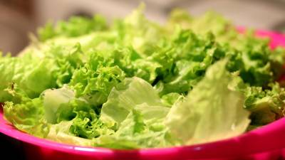 ¿Qué alimentos no deberías poner en el microondas? ¿Qué alimentos no deberías poner en el microondas?