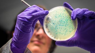 &iquest;Qu&eacute; es la bacteria leptospira y c&oacute;mo evitar contagiarse? Fue la causante de la muerte de ni&ntilde;os en Taisha 