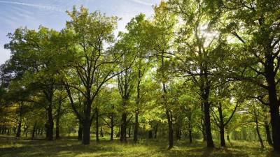Ecuador: nuevas tecnologías se utilizan en el sector industrial para reducir impacto ambiental Ecuador: nuevas tecnologías se utilizan en el sector industrial para reducir impacto ambiental
