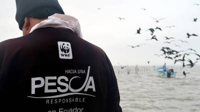 Ecuador firmó memorándum de entendimiento para fomentar la pesca sostenible Ecuador firmó memorándum de entendimiento para fomentar la pesca sostenible