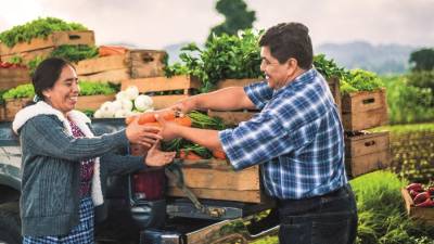 La producci&oacute;n org&aacute;nica contin&uacute;a con su ritmo de crecimiento en Ecuador
