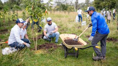 Respaldo empresarial para ejecución de proyecto regional de reforestación Respaldo empresarial para ejecución de proyecto regional de reforestación