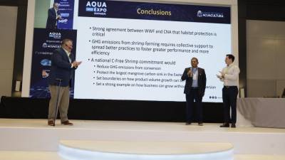 Ecuador busca poner fin a la conversión del hábitat por el cultivo de camarón Ecuador busca poner fin a la conversión del hábitat por el cultivo de camarón