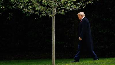 Senado de Estados Unidos decidirá sobre nuevo impuesto para las remesas enviadas por migrantes Senado de Estados Unidos decidirá sobre nuevo impuesto para las remesas enviadas por migrantes