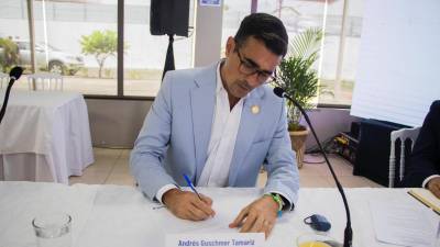 Andrés Guschmer se suma a la lista de ministros que renuncian al cargo para dedicarse a la campaña electoral Andrés Guschmer se suma a la lista de ministros que renuncian al cargo para dedicarse a la campaña electoral