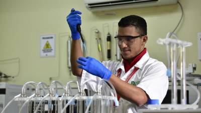 Programas de maestrías dirigen su mirada hacia el agro Programas de maestrías dirigen su mirada hacia el agro