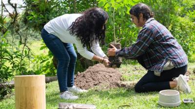 Camposantos y otras empresas exequiales plantean nuevos servicios sostenibles Camposantos y otras empresas exequiales plantean nuevos servicios sostenibles