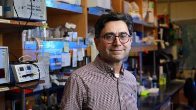 Ardem Patapoutian, ganador de premio Nobel en 2021, abriendo camino a nuevos tratamientos para aliviar el dolor Ardem Patapoutian, ganador de premio Nobel en 2021, abriendo camino a nuevos tratamientos para aliviar el dolor
