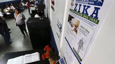 Sube a 66 el número de casos de zika en Ecuador Sube a 66 el número de casos de zika en Ecuador
