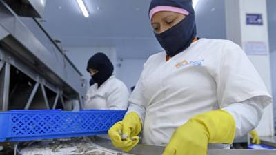 Exportadores ecuatorianos buscan acuerdos comerciales con Rusia y UE Exportadores ecuatorianos buscan acuerdos comerciales con Rusia y UE