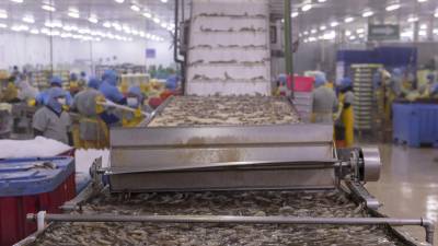 El Oro, la provincia que mira nuevos horizontes económicos El Oro, la provincia que mira nuevos horizontes económicos