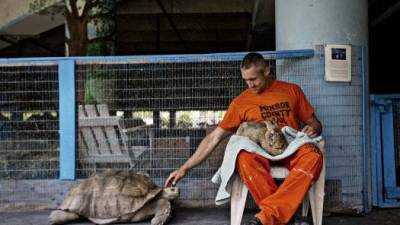 La c&aacute;rcel que adem&aacute;s es un zoo de animales abandonados