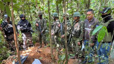 Hallan más de 750 minas antipersonas en Sucumbíos Hallan más de 750 minas antipersonas en Sucumbíos