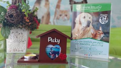 ¿Cómo enfrentar la partida de tu mascota y honrar sus vidas?​​​​​ ¿Cómo enfrentar la partida de tu mascota y honrar sus vidas?​​​​​
