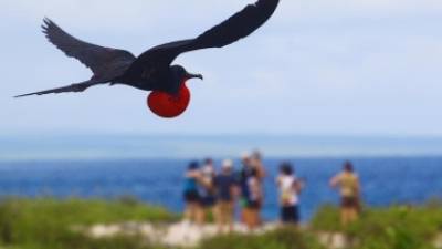 Gal&aacute;pagos, el &amp;quot;mejor lugar para la vida silvestre&amp;quot;