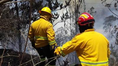 Rodas dice que incendios de Quito son provocados