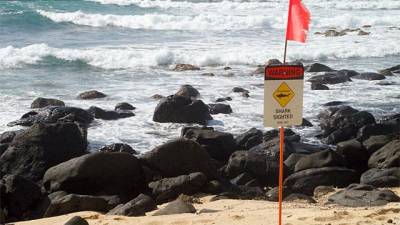 Dos heridos por ataques de tiburones en Hawai en un mismo día Dos heridos por ataques de tiburones en Hawai en un mismo día
