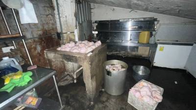 Los hallazgos m&aacute;s perturbadores del Arcsa en locales que fueron clausurados este 2024