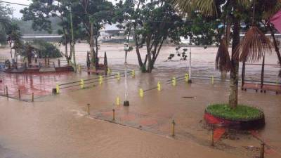 Napo: unos 60 evacuados por desbordamiento de ríos Napo: unos 60 evacuados por desbordamiento de ríos