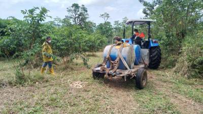 Tractores mecanizan las labores agrícolas de más de 1.900 agroproductores del país Tractores mecanizan las labores agrícolas de más de 1.900 agroproductores del país