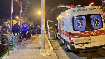 Consternación en Quito por el fallecimiento de Jaime Grijalva, defensor de los animales Consternación en Quito por el fallecimiento de Jaime Grijalva, defensor de los animales