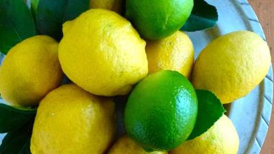 Desarrollan limones que previenen la obesidad y diabetes Desarrollan limones que previenen la obesidad y diabetes