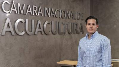 “La CNA cumple un rol clave para el sector camaronero”: José Antonio Camposano “La CNA cumple un rol clave para el sector camaronero”: José Antonio Camposano