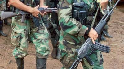 Supuesto miembro de las FARC se entrega en Ecuador Supuesto miembro de las FARC se entrega en Ecuador