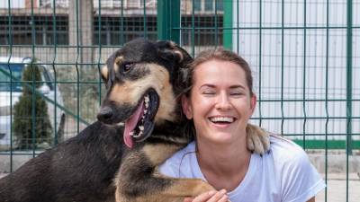 &iquest;C&oacute;mo integrar a un perro callejero a tu hogar?
