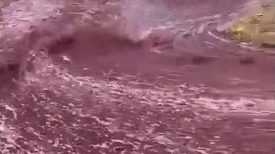 VIDEO: Un "río" de vino atravesó una ciudad de Portugal tras un derrame de contenedores VIDEO: Un "río" de vino atravesó una ciudad de Portugal tras un derrame de contenedores