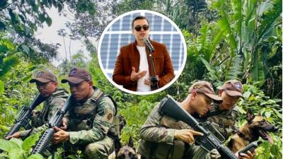 ¿De dónde sacó Daniel Noboa la información sobre más de 2.000 hectáreas de coca en Ecuador? ¿De dónde sacó Daniel Noboa la información sobre más de 2.000 hectáreas de coca en Ecuador?