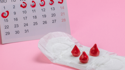 Si bien se conoce la sintomatología de la menstruación, los científicos continúan explorando este ciclo. Si bien se conoce la sintomatología de la menstruación, los científicos continúan explorando este ciclo.