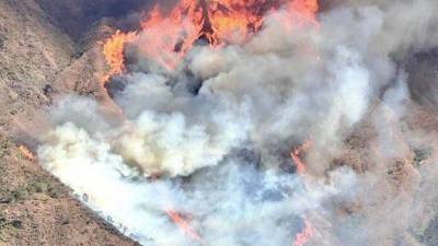 Incendio forestal en la provincia de Loja agrupa el trabajo de bomberos, miembros de las Fuerzas Armadas y comuneros Incendio forestal en la provincia de Loja agrupa el trabajo de bomberos, miembros de las Fuerzas Armadas y comuneros