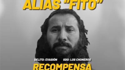 Recompensa de un millón de dólares por alias 'Fito': Gobierno de Daniel Noboa lanza operación de búsqueda Recompensa de un millón de dólares por alias 'Fito': Gobierno de Daniel Noboa lanza operación de búsqueda