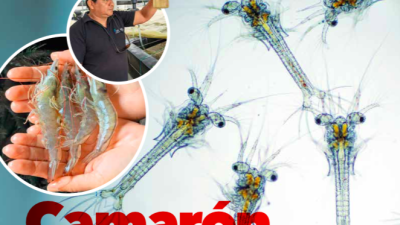 Revista Enfoque Octubre 2023