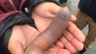 Invasi&oacute;n de &amp;quot;peces pene&amp;quot; en una playa de California